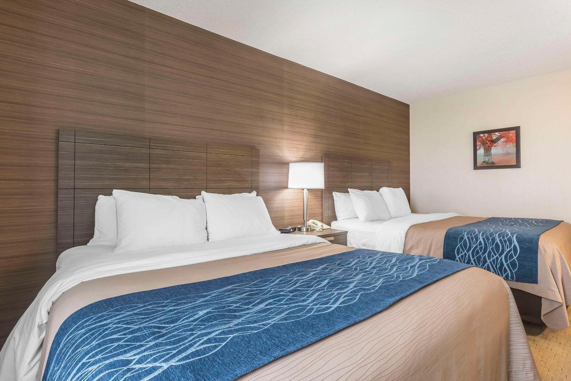 Comfort Inn Lévis Екстериор снимка