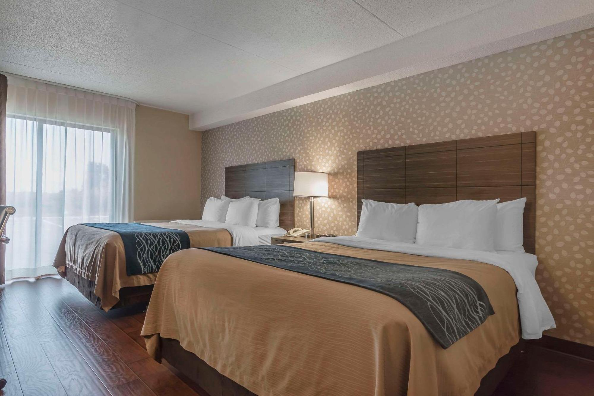 Comfort Inn Lévis Екстериор снимка