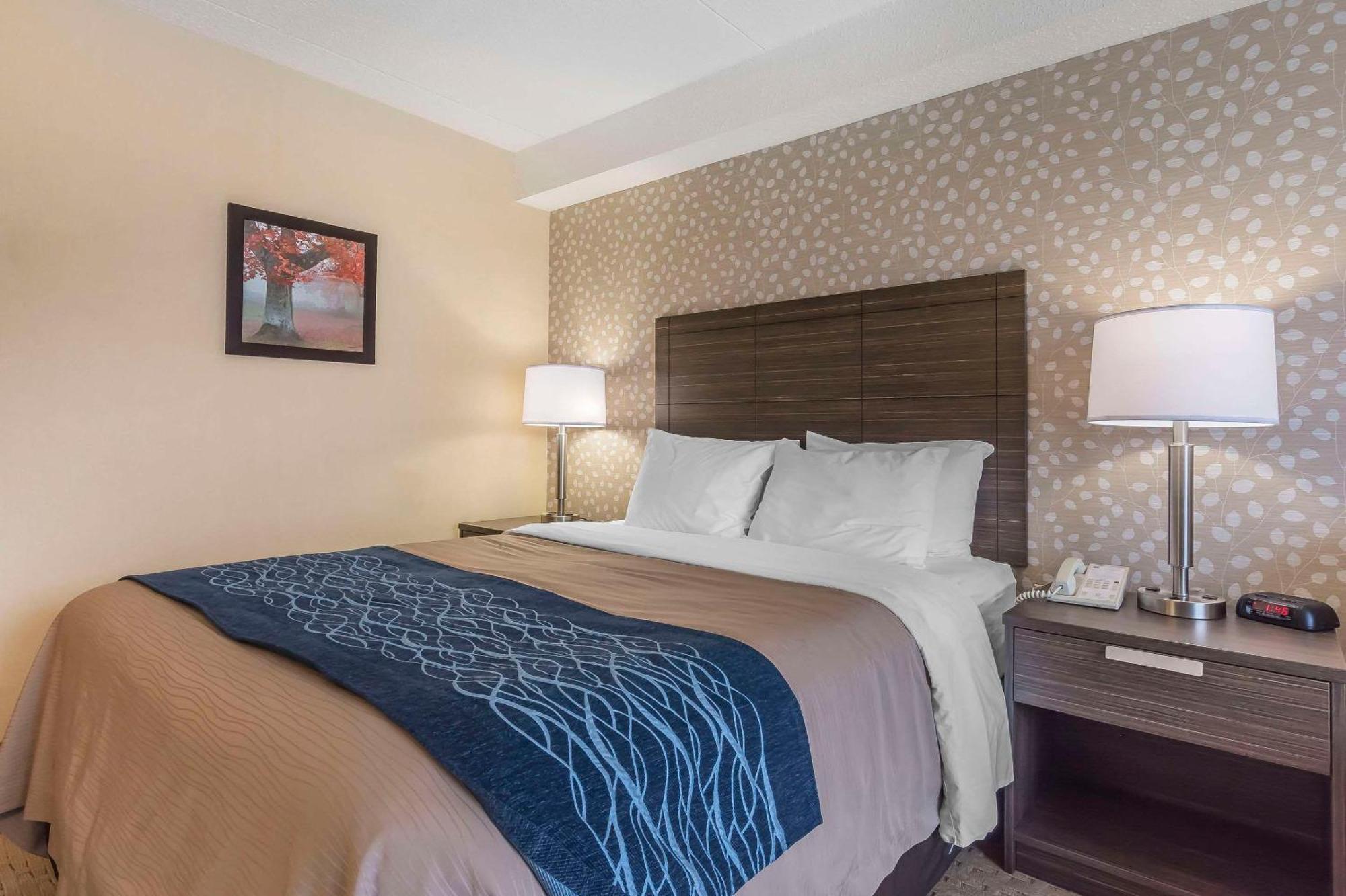 Comfort Inn Lévis Екстериор снимка