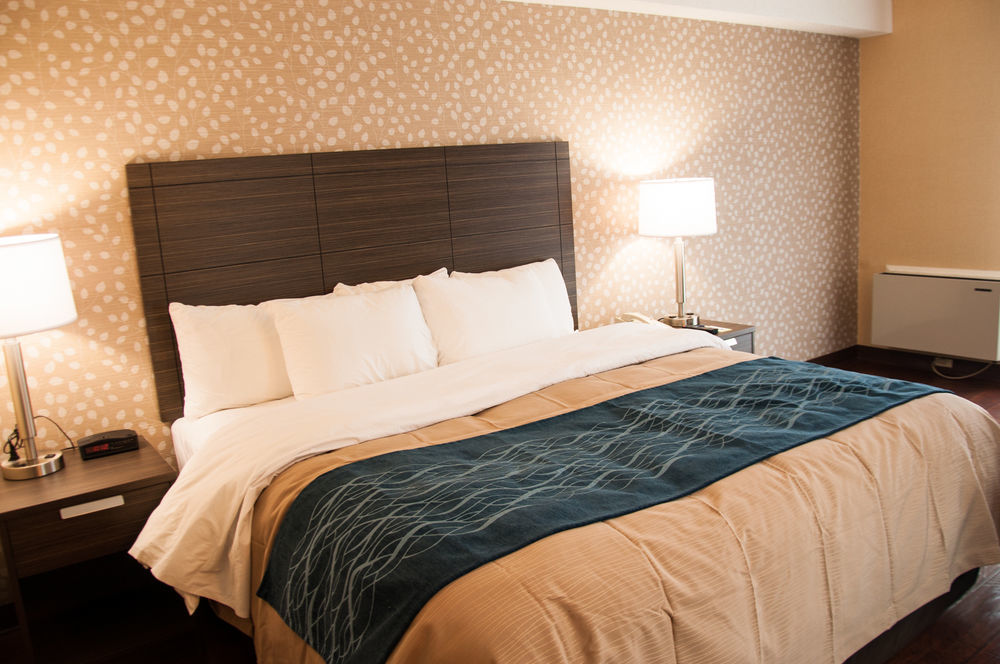 Comfort Inn Lévis Екстериор снимка