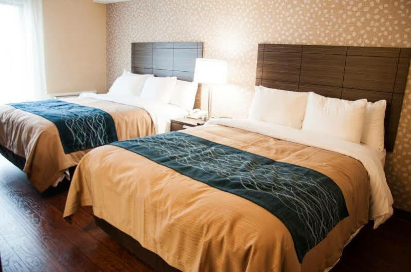 Comfort Inn Lévis Екстериор снимка