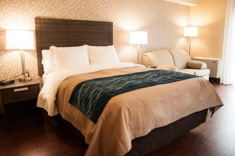 Comfort Inn Lévis Екстериор снимка