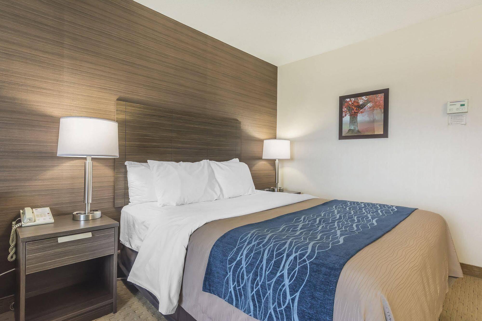Comfort Inn Lévis Екстериор снимка